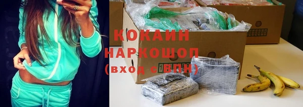 apvp Алексин