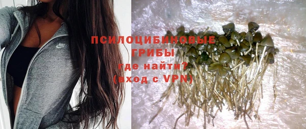 apvp Алексин