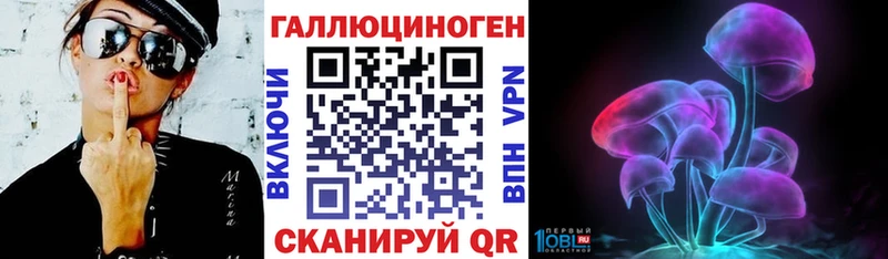 Псилоцибиновые грибы Psilocybe  Купить закладки  Камешково 